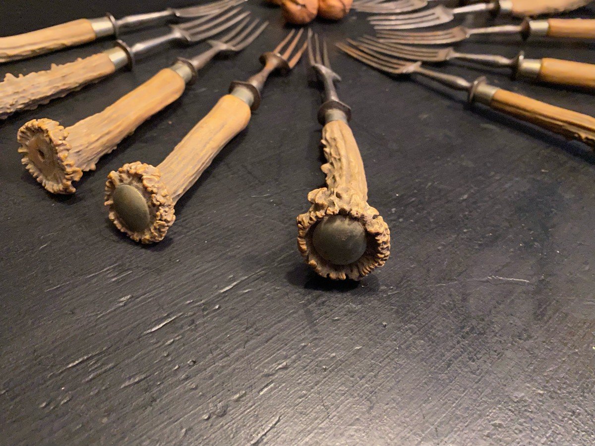 12 Forks With Deer Antler Handles-photo-2