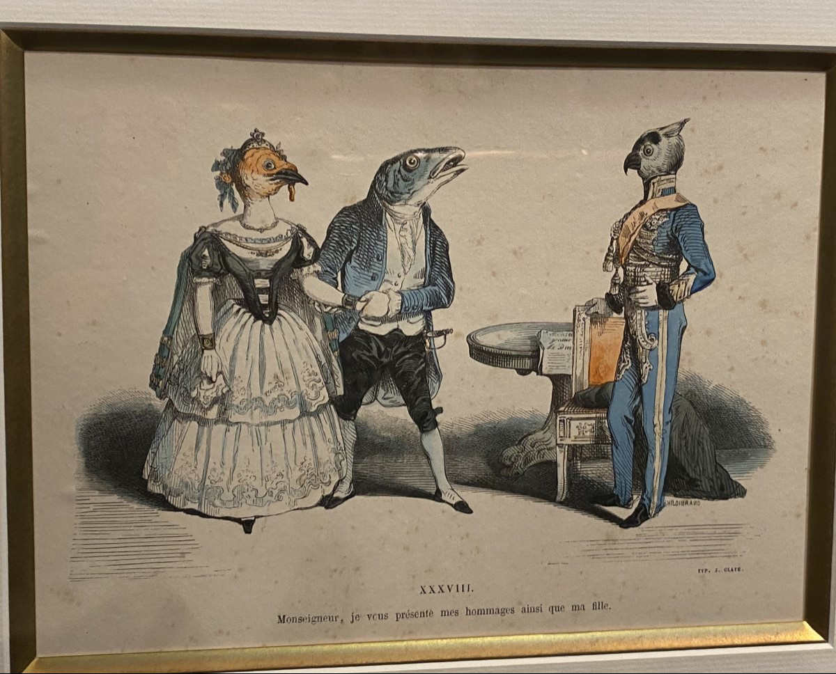 Pair Of Colored Engravings By Granville-photo-2