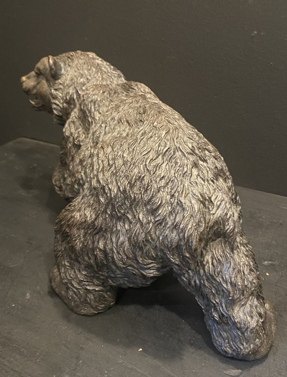 Bronze Bear, Grizzly Bear-photo-4