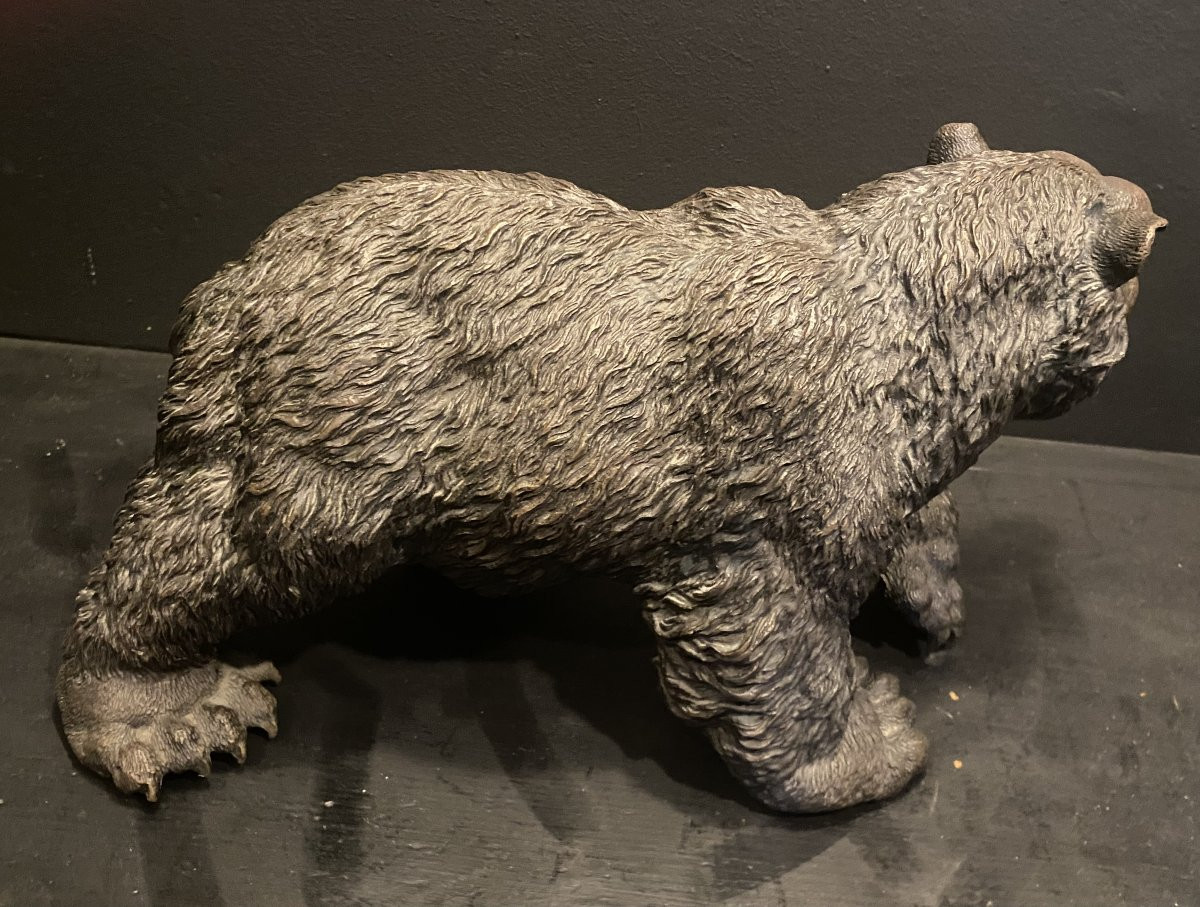 Bronze Bear, Grizzly Bear-photo-1