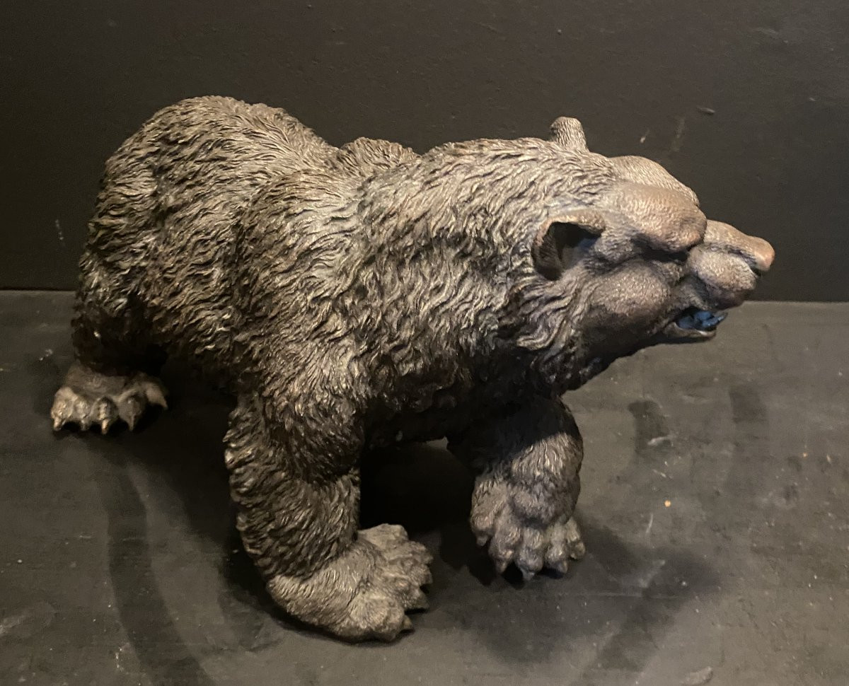 Bronze Bear, Grizzly Bear-photo-2