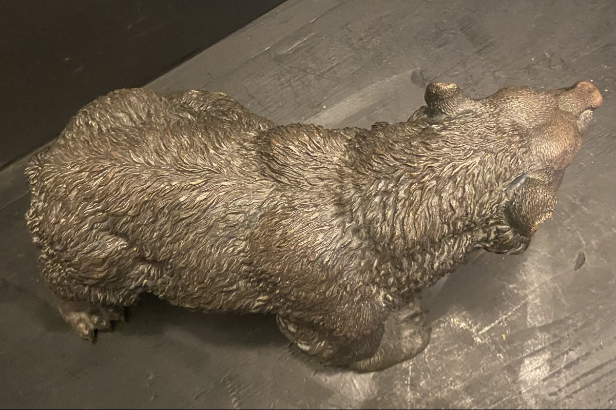 Bronze Bear, Grizzly Bear-photo-3