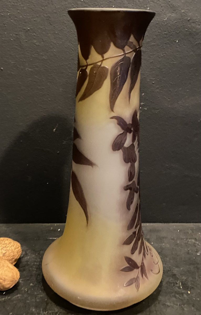 vase Gallé à décor de glycine-photo-2