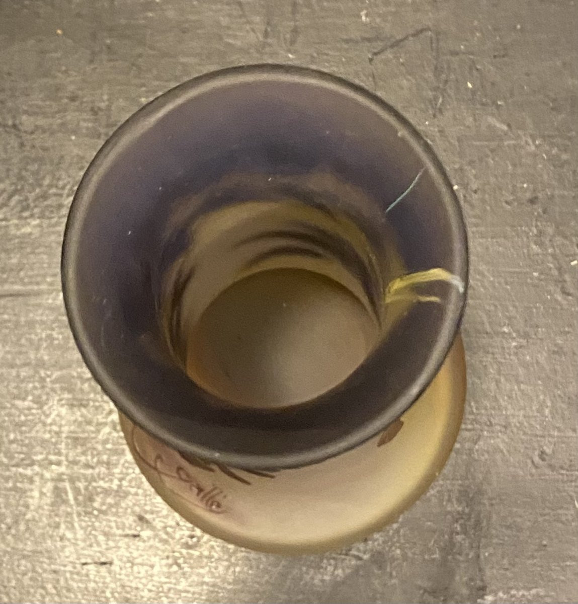 vase Gallé à décor de glycine-photo-7