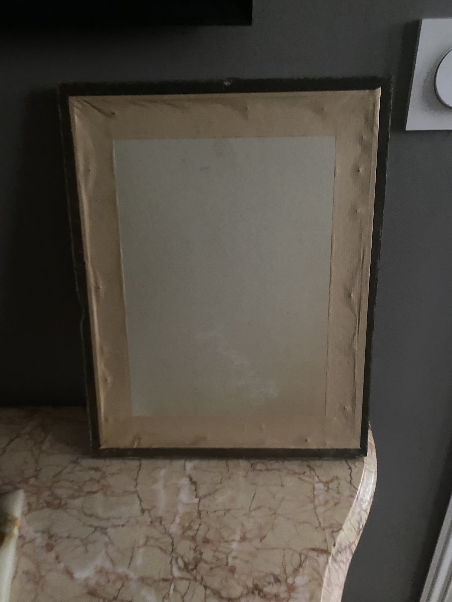 Mounted Under Glass From The 19th Century-photo-1