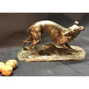 Pewter Greyhound