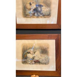 Pair Of Colored Lithographs.