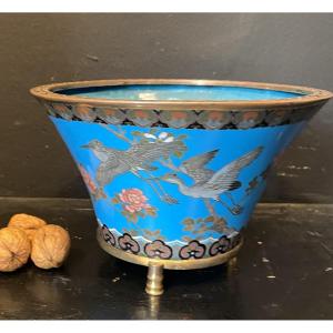 coupe en email cloisonné