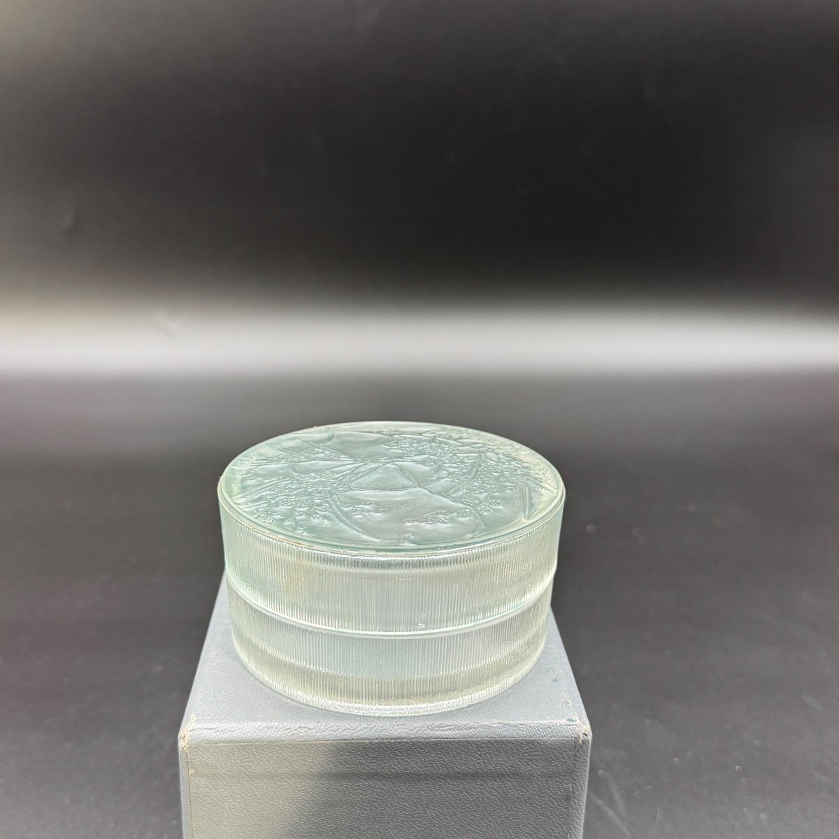 A Glass Box By R.lalique “in A Garden” For Arys-photo-4