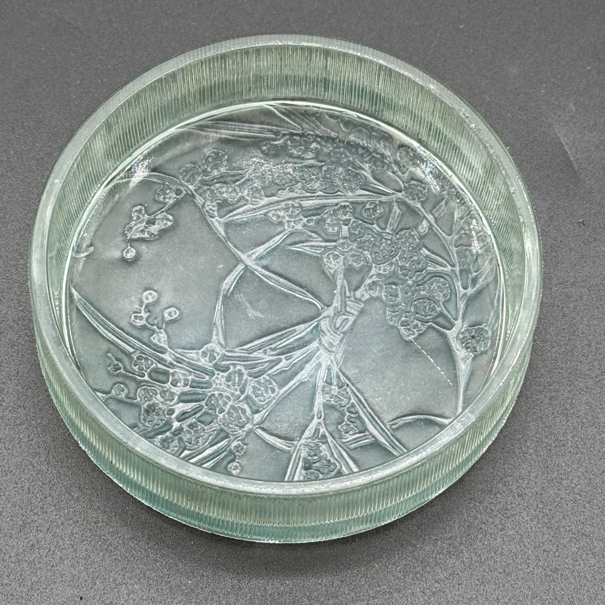 A Glass Box By R.lalique “in A Garden” For Arys-photo-6