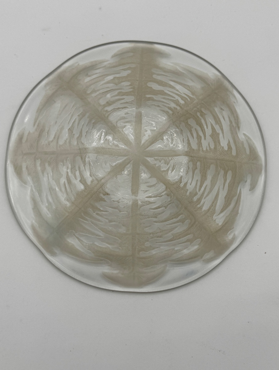 Un Ensemble De Huit Assiettes Pissenlits De R.lalique-photo-3