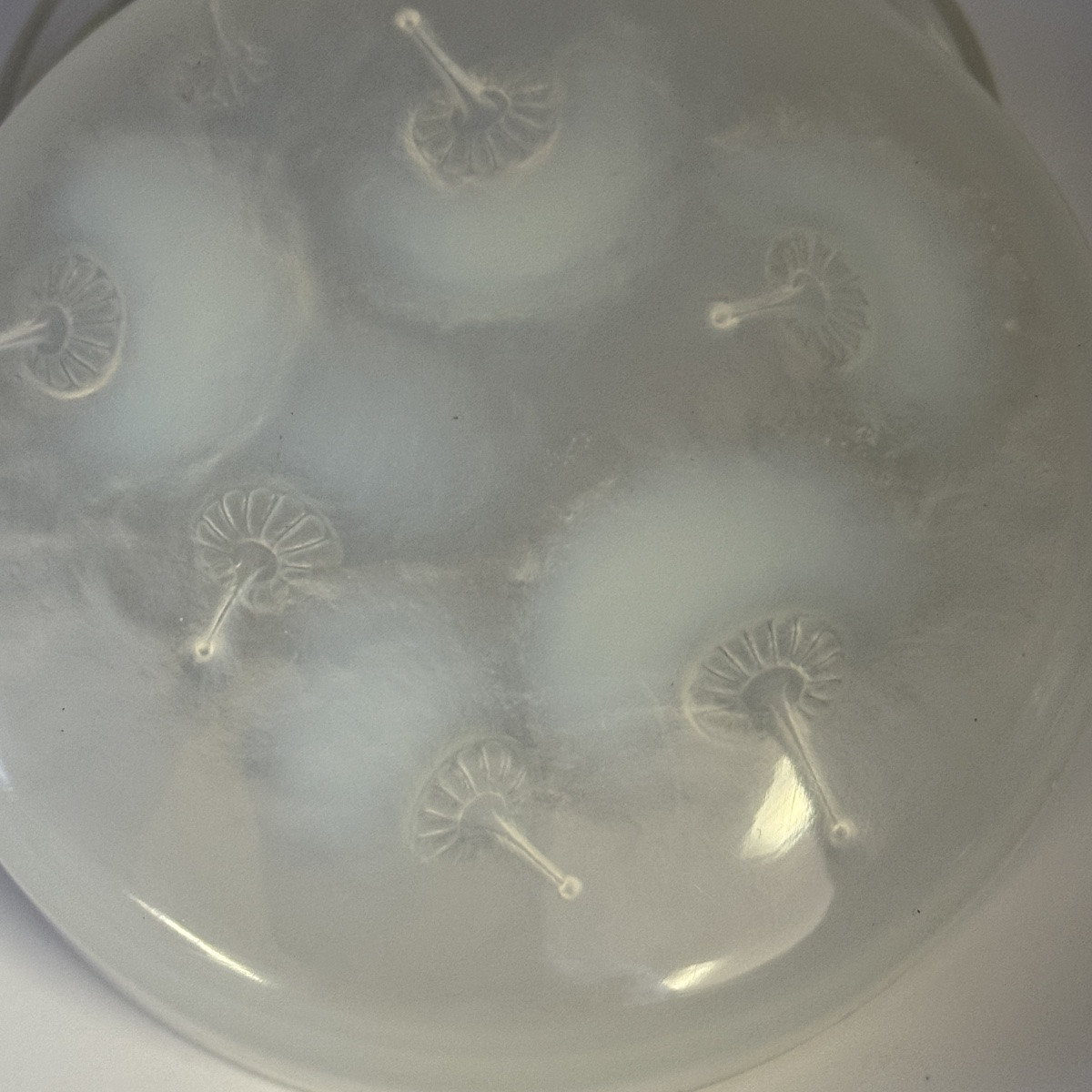 A R.lalique Opalescent  Houppes Boxe.-photo-3