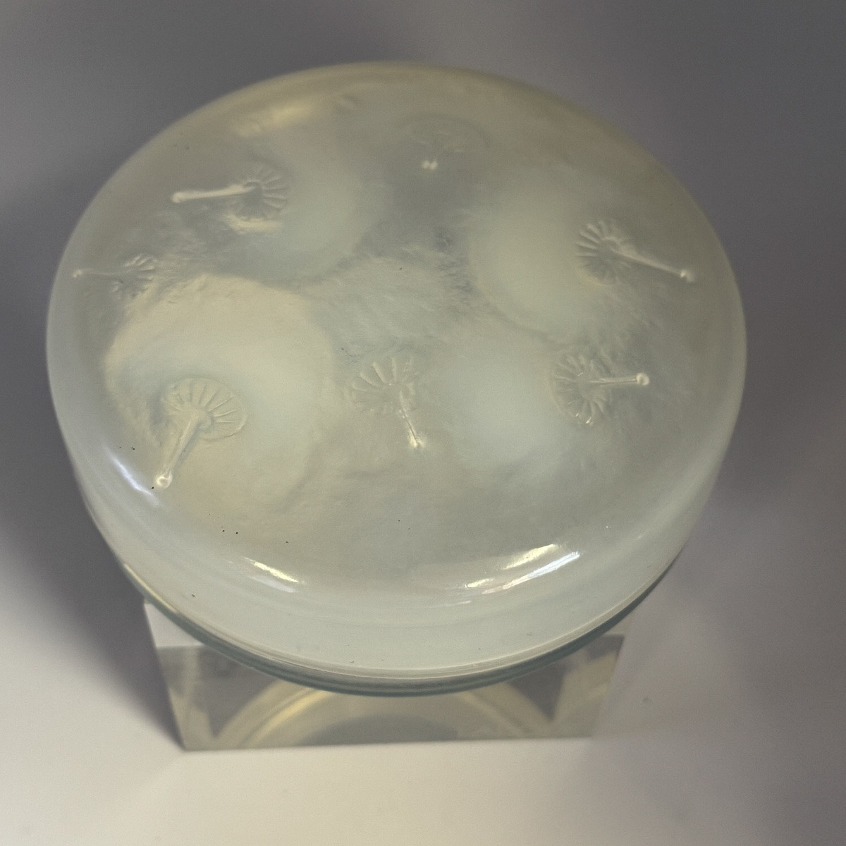 A R.lalique Opalescent  Houppes Boxe.-photo-4