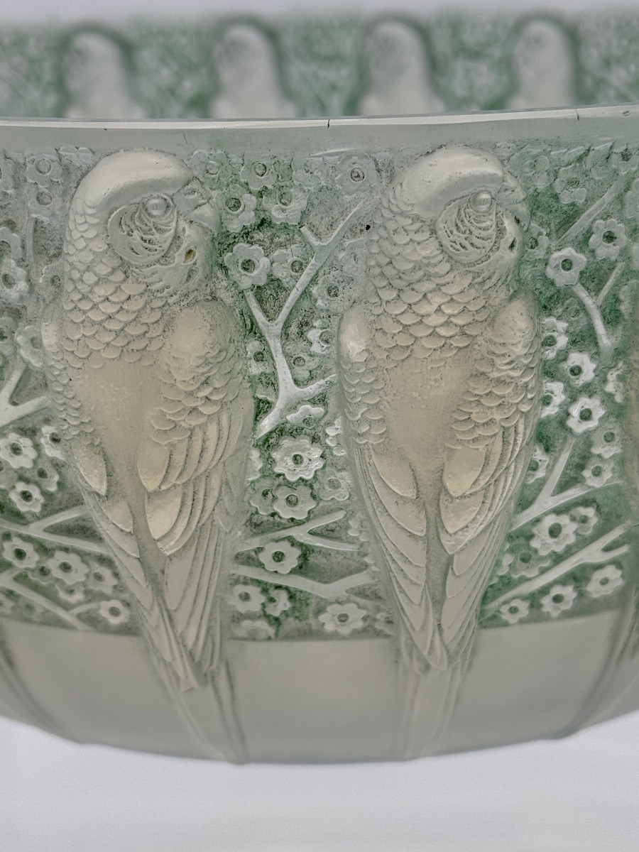A Parakeet Cup By R. Lalique-photo-3