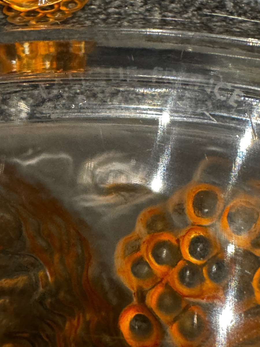 une coupe Côte d’Or de R.Lalique-photo-2