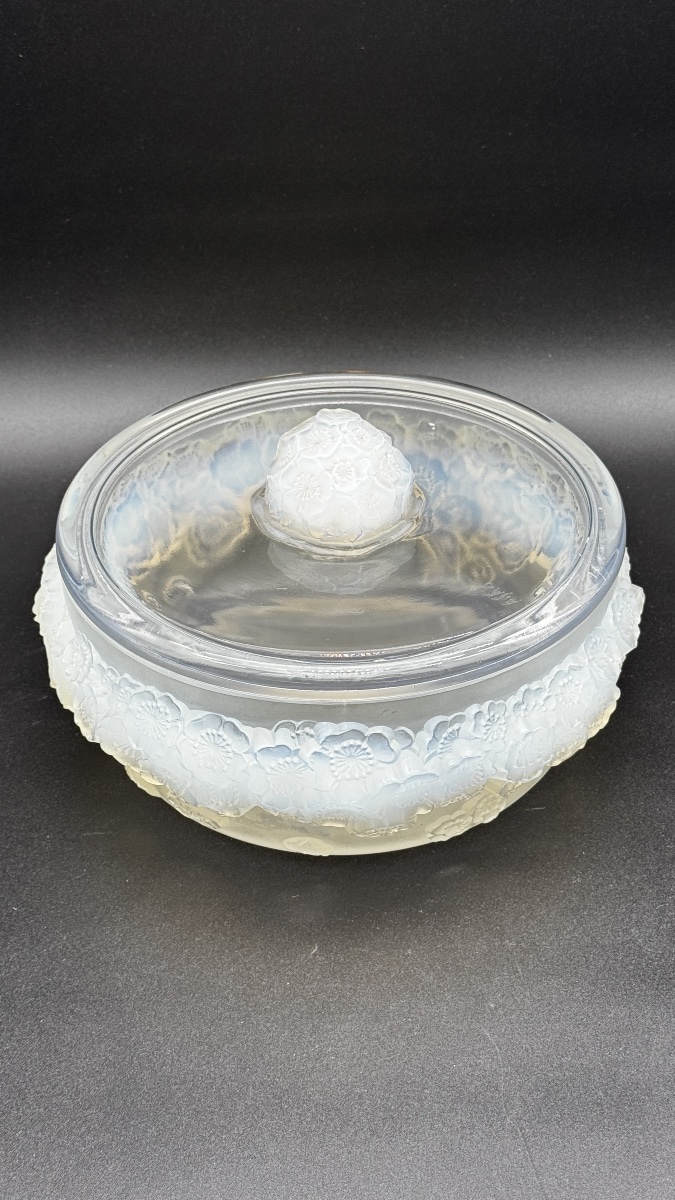 A Large R.lalique Primevères Boxe .-photo-3