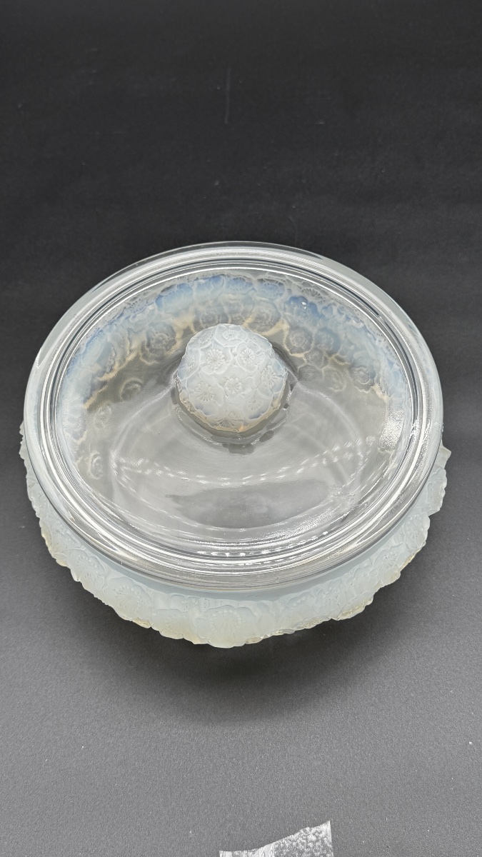 A Large R.lalique Primevères Boxe .-photo-4