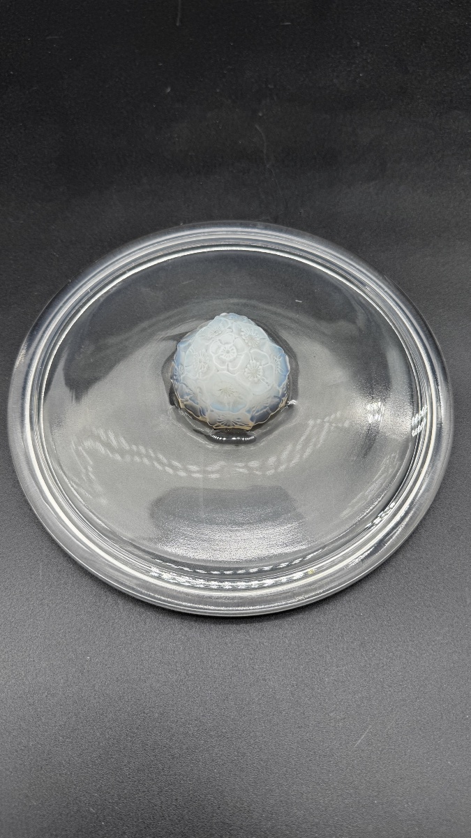 A Large R.lalique Primevères Boxe .-photo-1