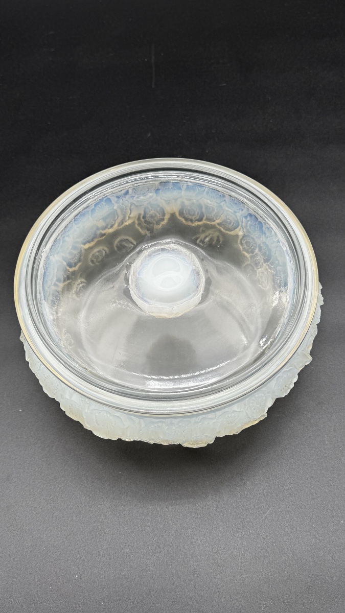 A Large R.lalique Primevères Boxe .-photo-3