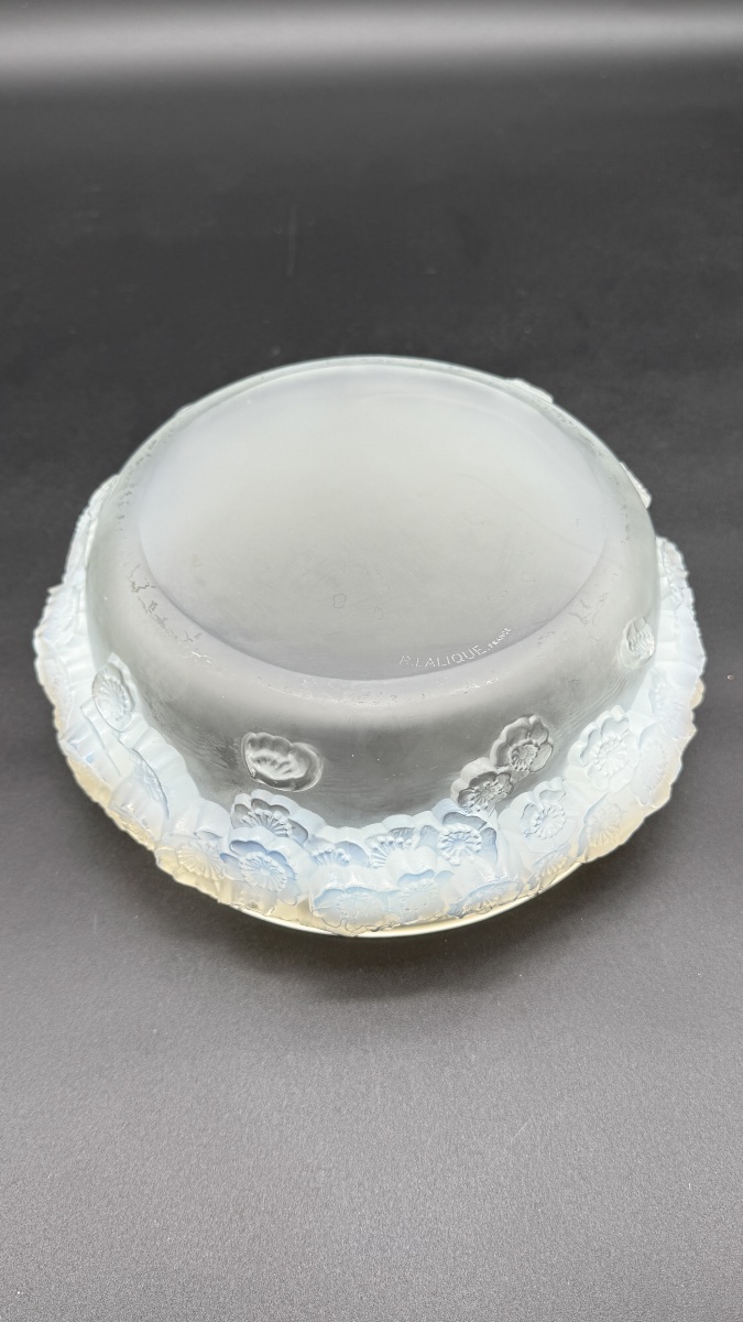 A Large R.lalique Primevères Boxe .-photo-5