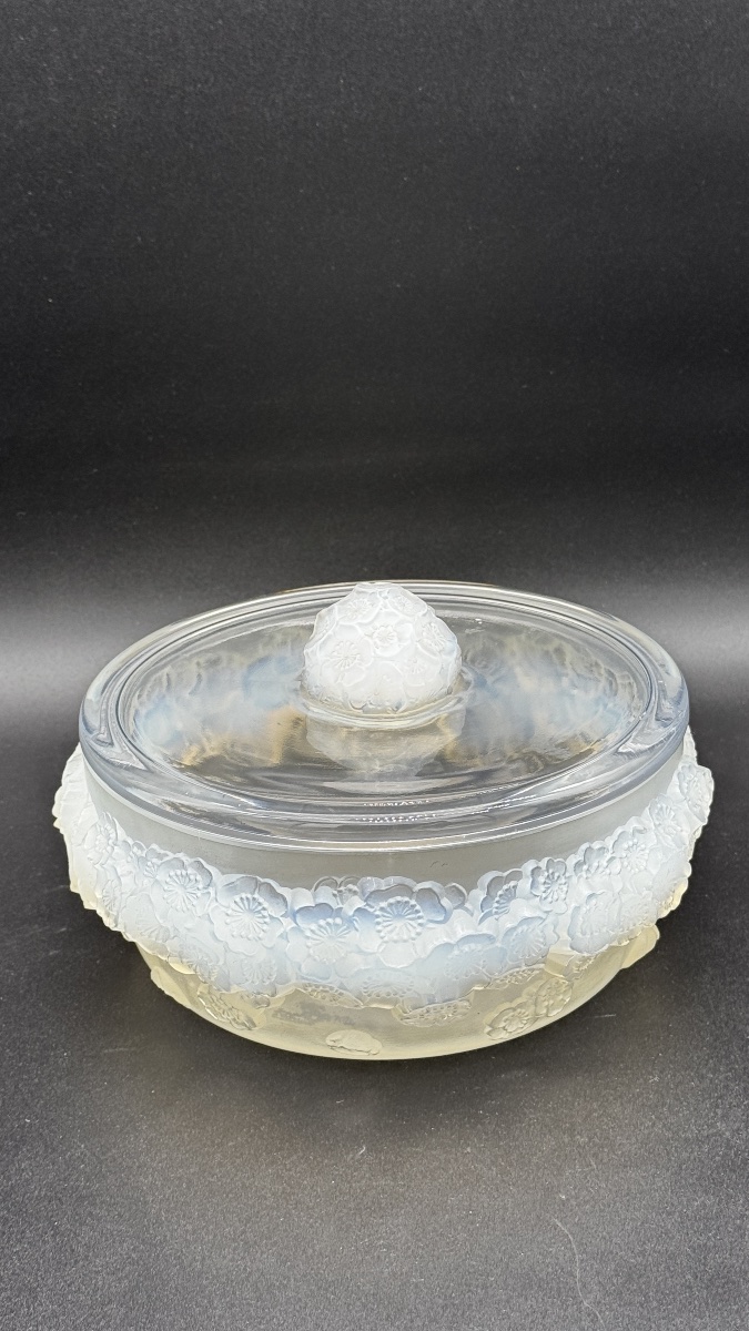 A Large R.lalique Primevères Boxe .