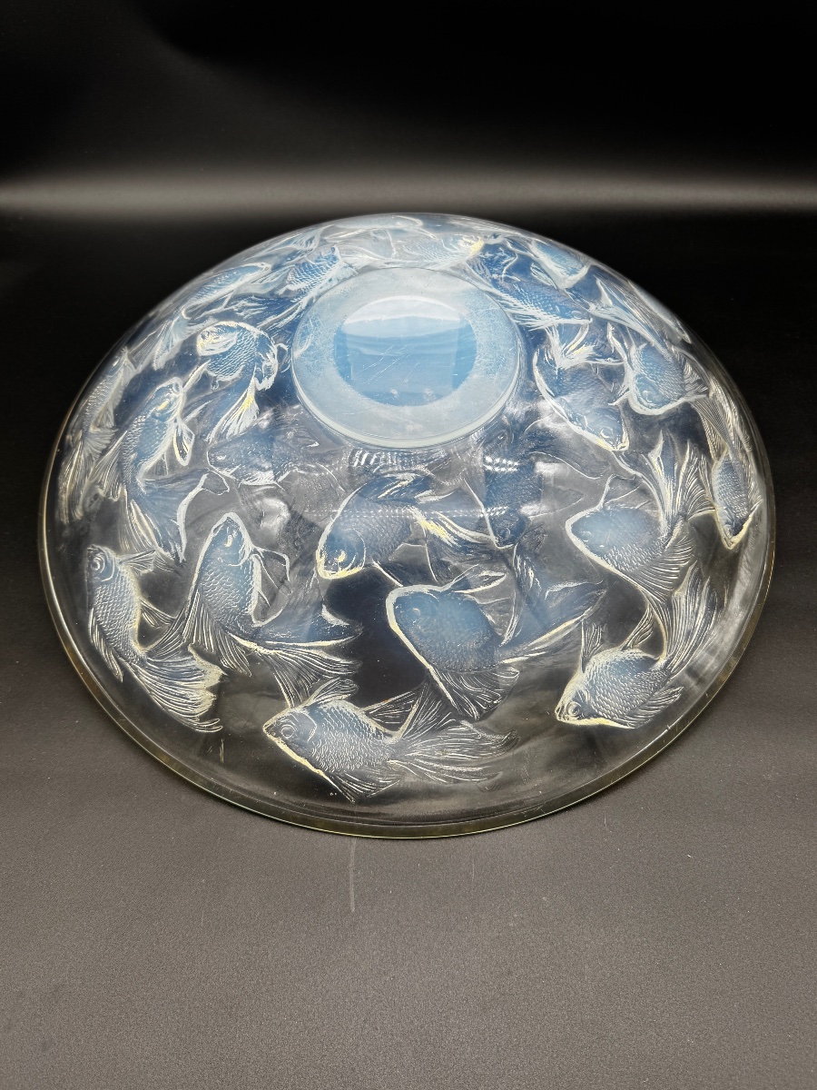 Une coupe Cyprins en verre opalescent de R.Lalique-photo-4