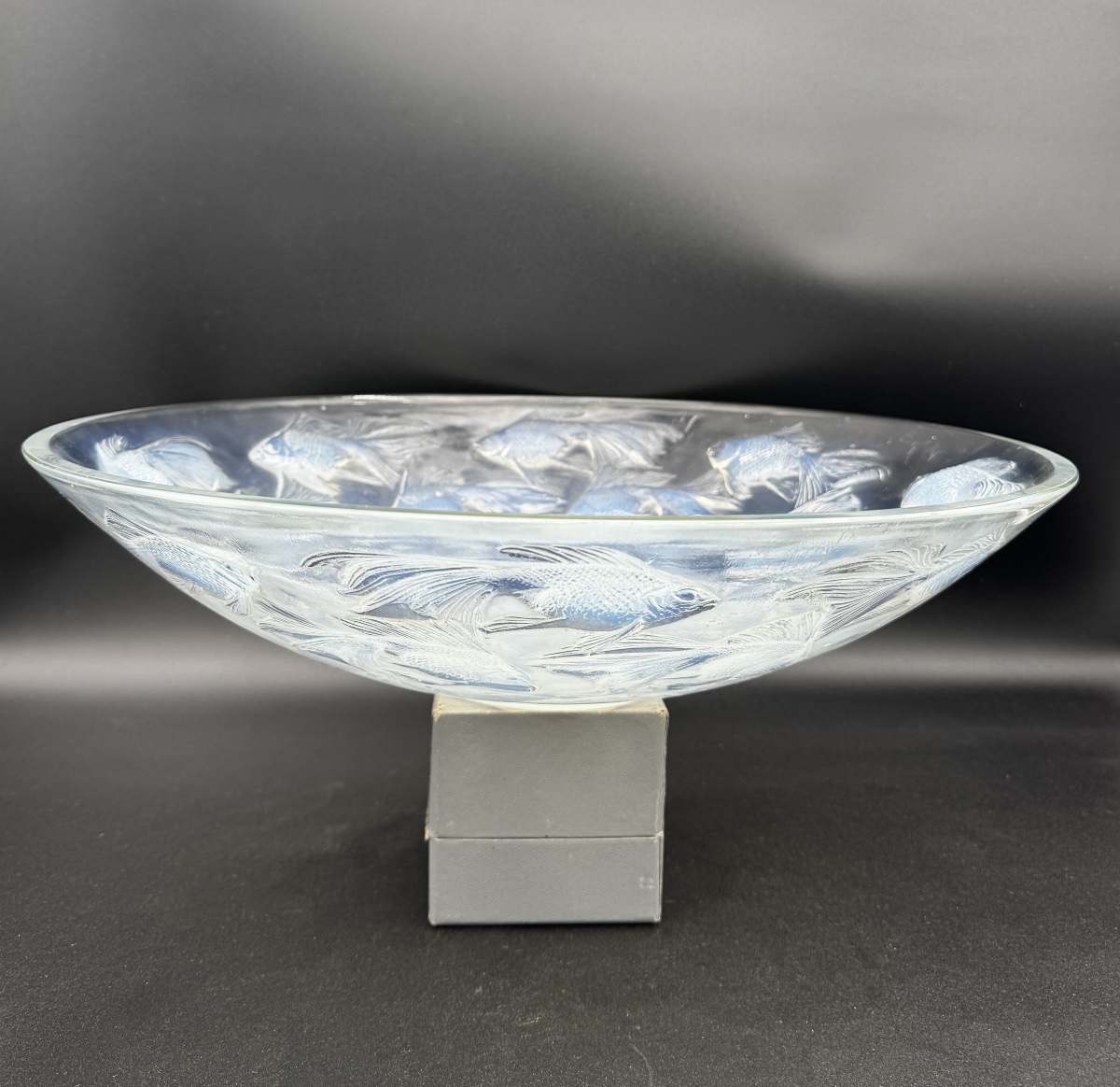 Une coupe Cyprins en verre opalescent de R.Lalique-photo-3