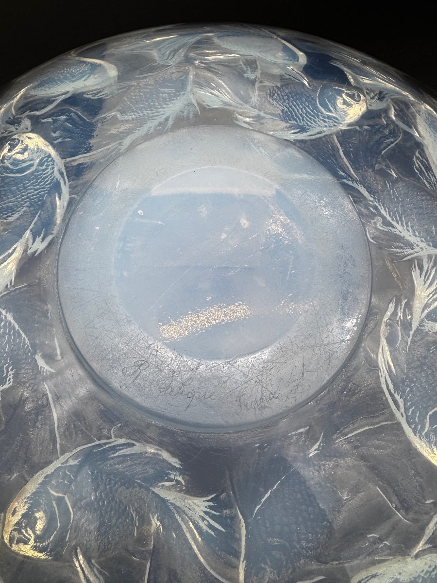 Une coupe Cyprins en verre opalescent de R.Lalique-photo-1