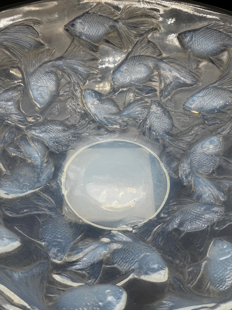 Une coupe Cyprins en verre opalescent de R.Lalique-photo-2