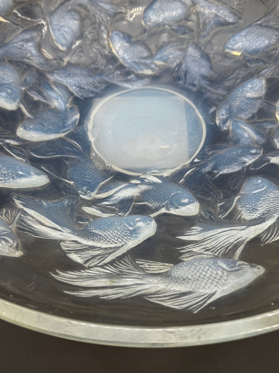 Une coupe Cyprins en verre opalescent de R.Lalique-photo-3