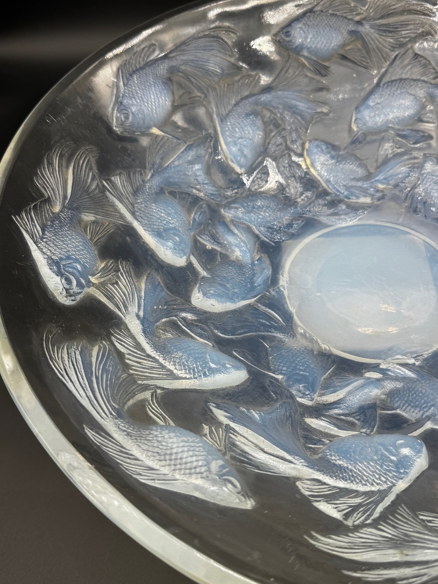 Une coupe Cyprins en verre opalescent de R.Lalique-photo-6