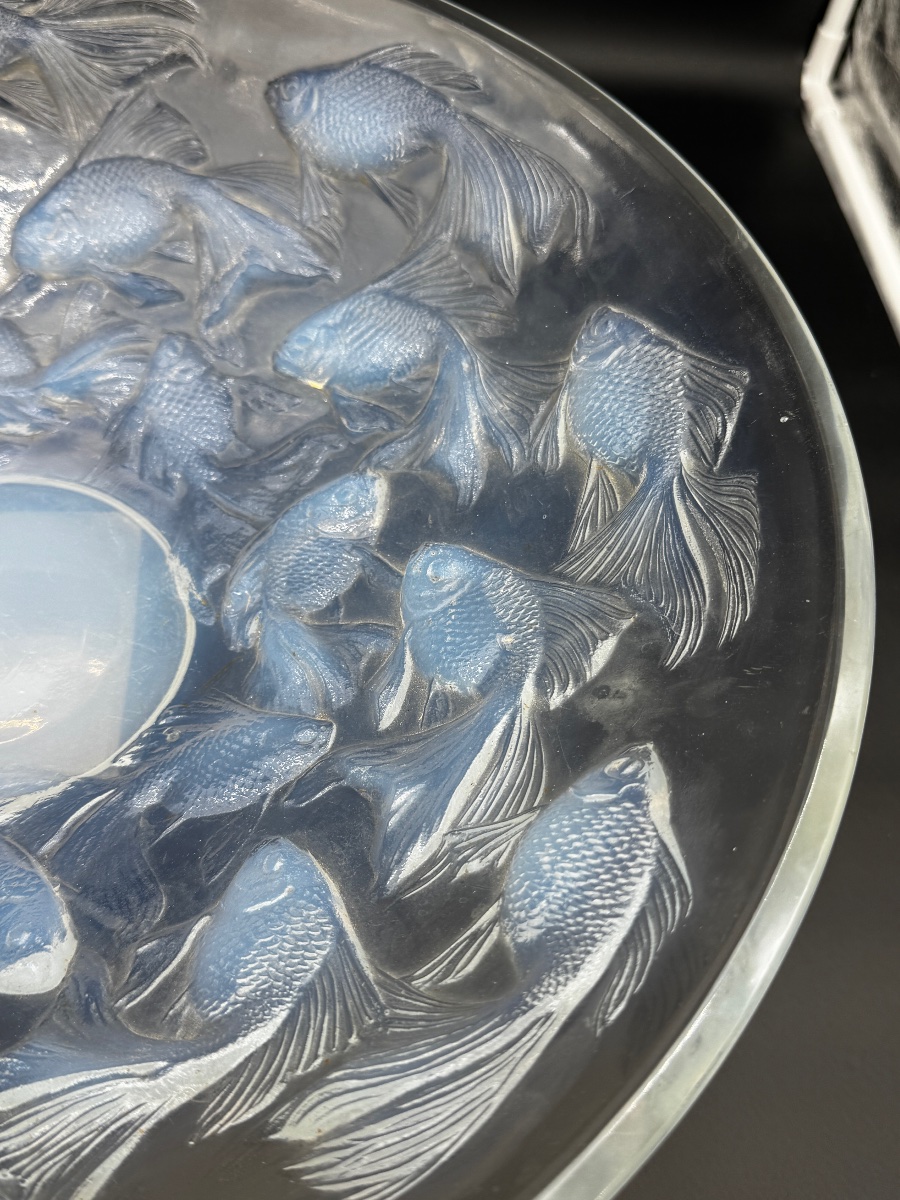 Une coupe Cyprins en verre opalescent de R.Lalique-photo-7