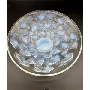 Une coupe Cyprins en verre opalescent de R.Lalique