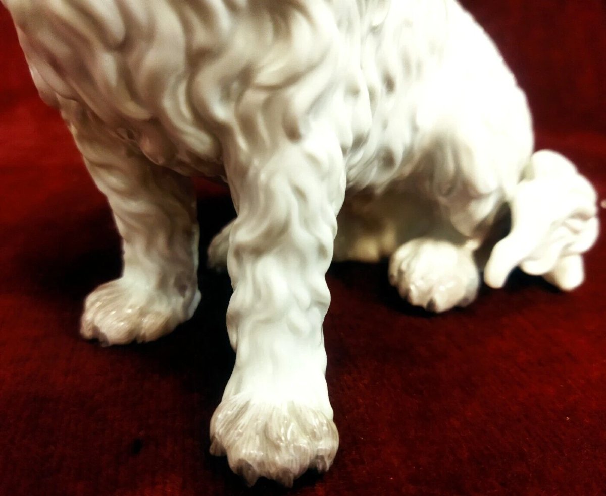  CHIEN  EN PORCELAINE  MEISSEN  - XXe SIÈCLE / ANNÉES 80-photo-3
