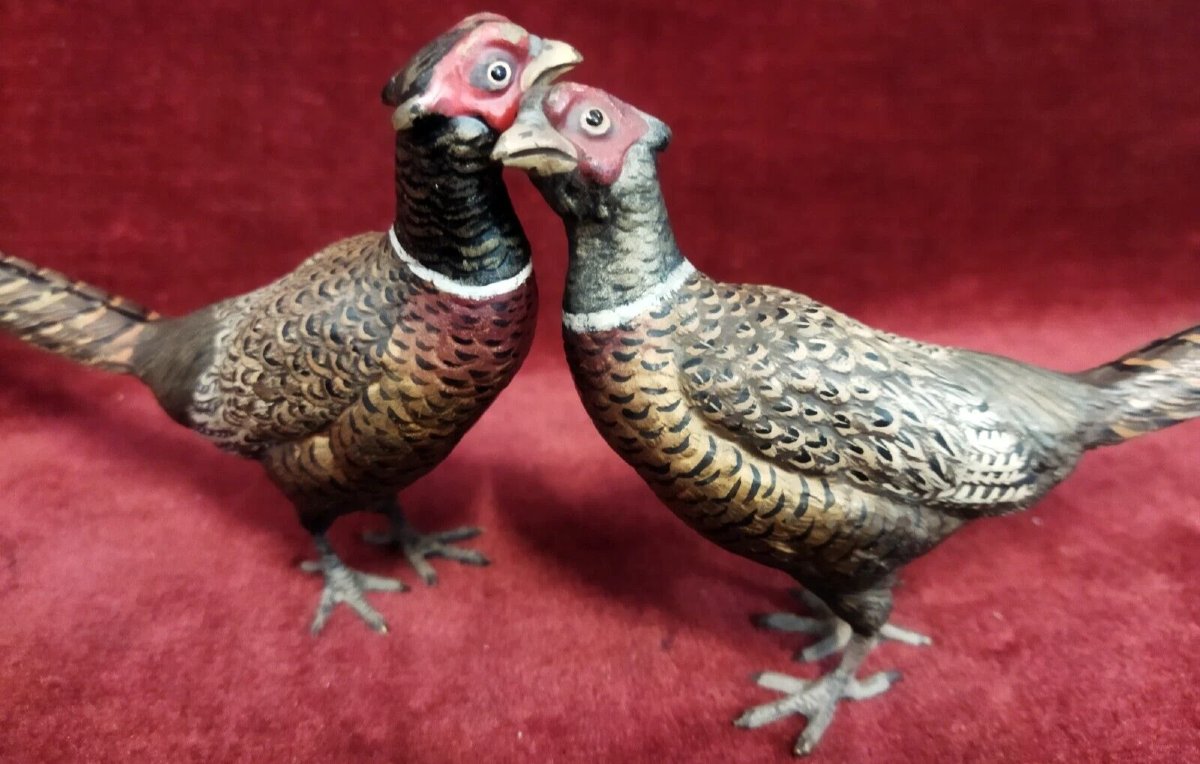 Pair Of Painted Bronze Pheasants, Austria – 19th Century-photo-3