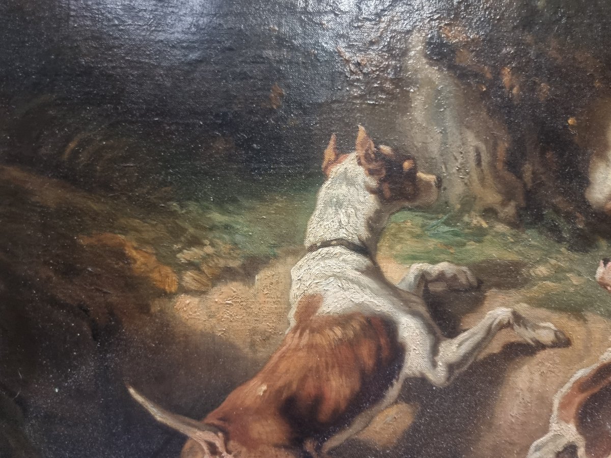 Huile sur toile représentant des chiens - Signée F. Couly - XIXe siècle-photo-2