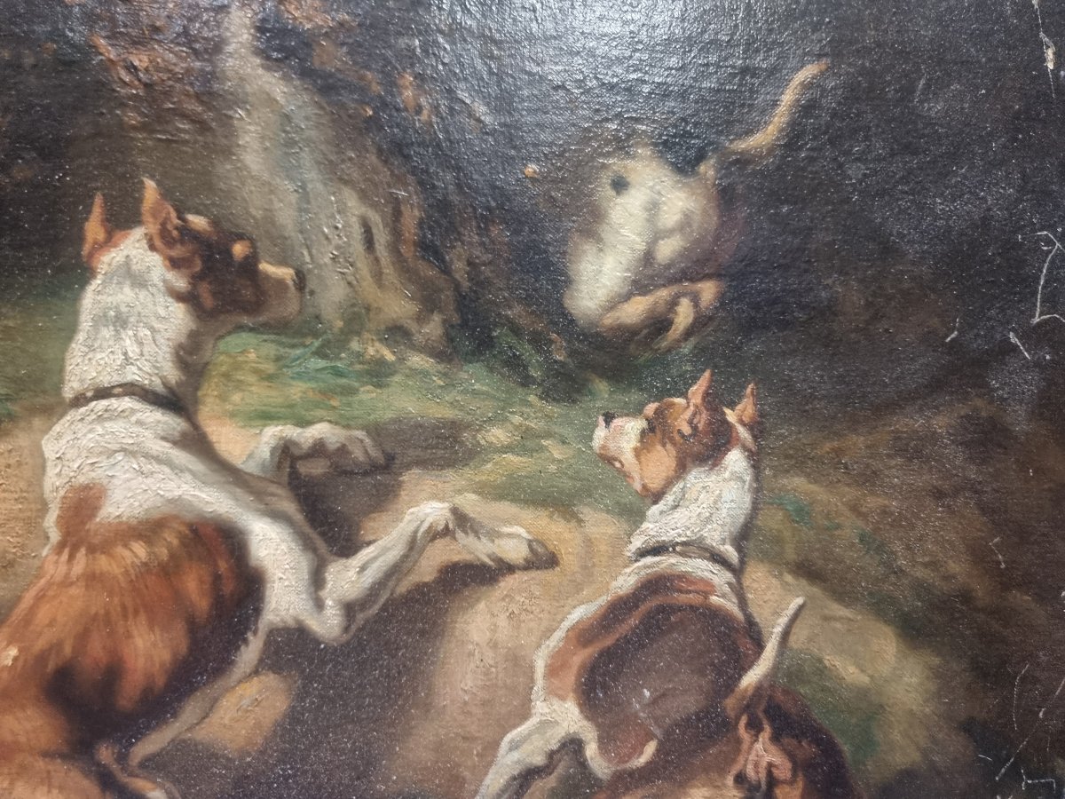 Huile sur toile représentant des chiens - Signée F. Couly - XIXe siècle-photo-3