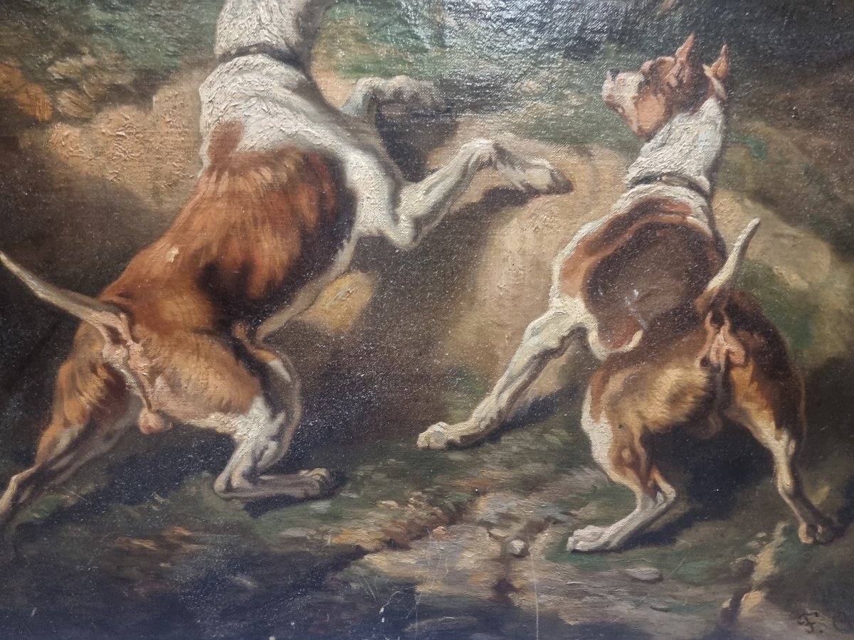 Huile sur toile représentant des chiens - Signée F. Couly - XIXe siècle-photo-4