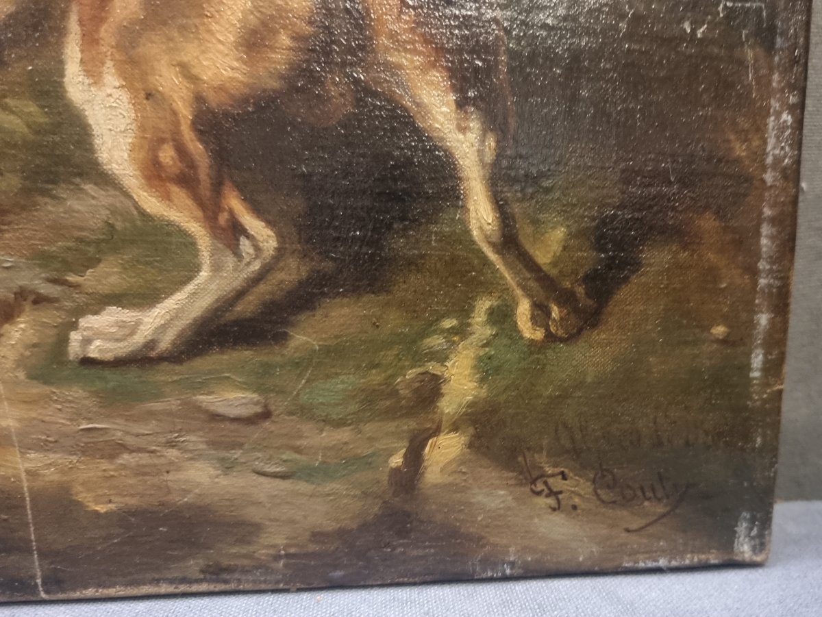 Huile sur toile représentant des chiens - Signée F. Couly - XIXe siècle-photo-1
