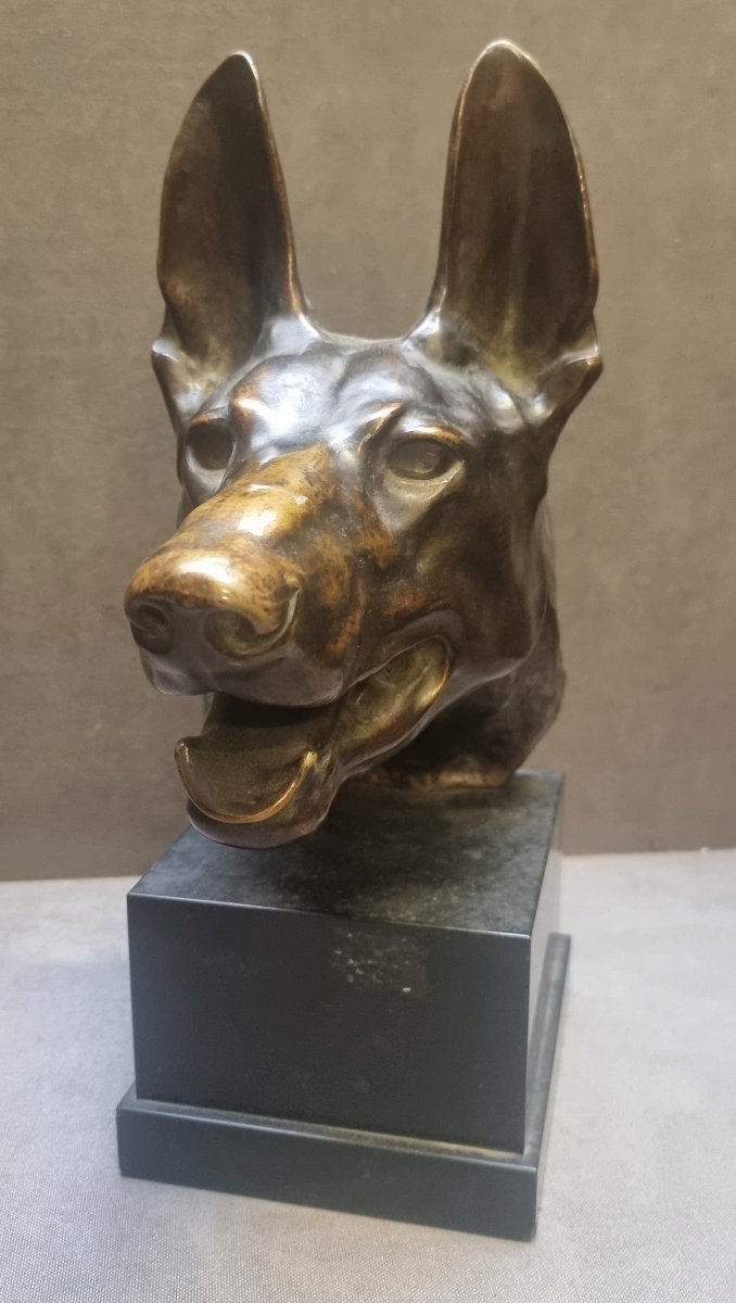 Bronze Sculpture On A Marble Base - Wolf's Head  - Max Le Verrier (1891-1973)-photo-2