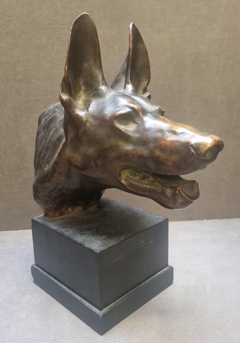 Bronze Sculpture On A Marble Base - Wolf's Head  - Max Le Verrier (1891-1973)-photo-3