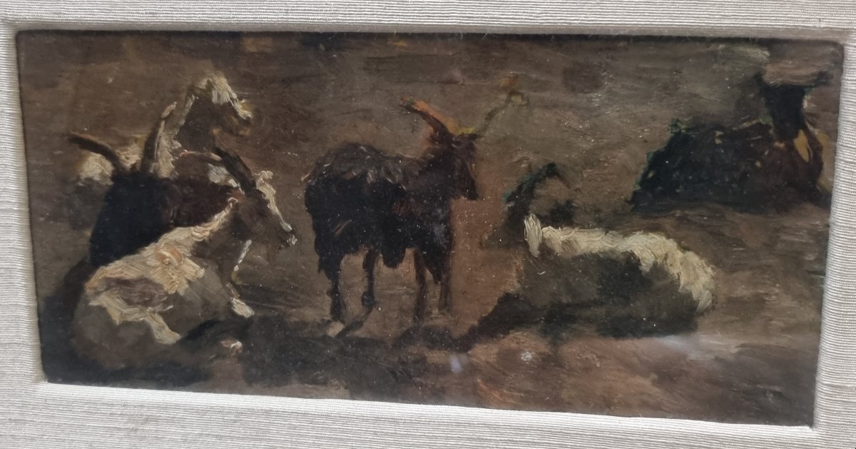 Oil Painting On Cardboard - Study Of Goats - 19th Century-photo-2