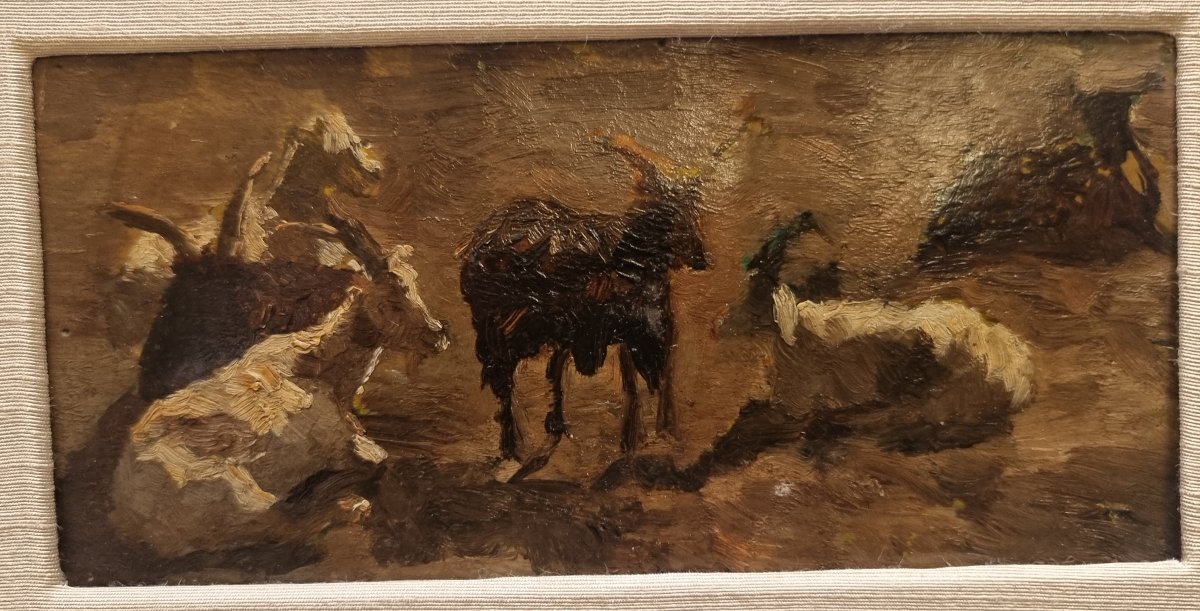 Oil Painting On Cardboard - Study Of Goats - 19th Century-photo-2