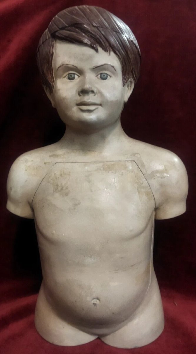 MODÈLE ANATOMIQUE PÉDAGOGIQUE EN PAPIER-MÂCHÉ - début XXe siècle-photo-2