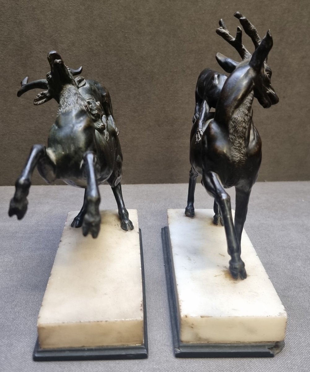 Paire sculptures bronze socles marbre – Chiens aux prises avec des cerfs -photo-3