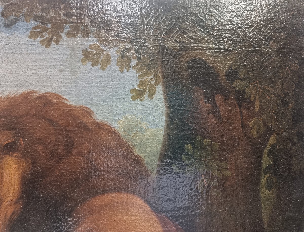 Huile sur toile - Animaux - France, seconde moitié du XIXe siècle-photo-4