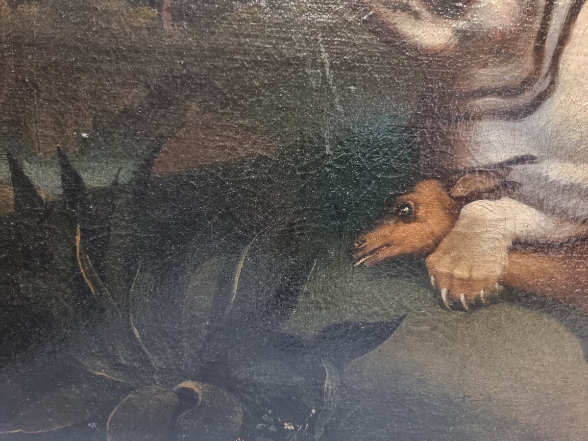 Huile sur toile - Animaux - France, seconde moitié du XIXe siècle-photo-2