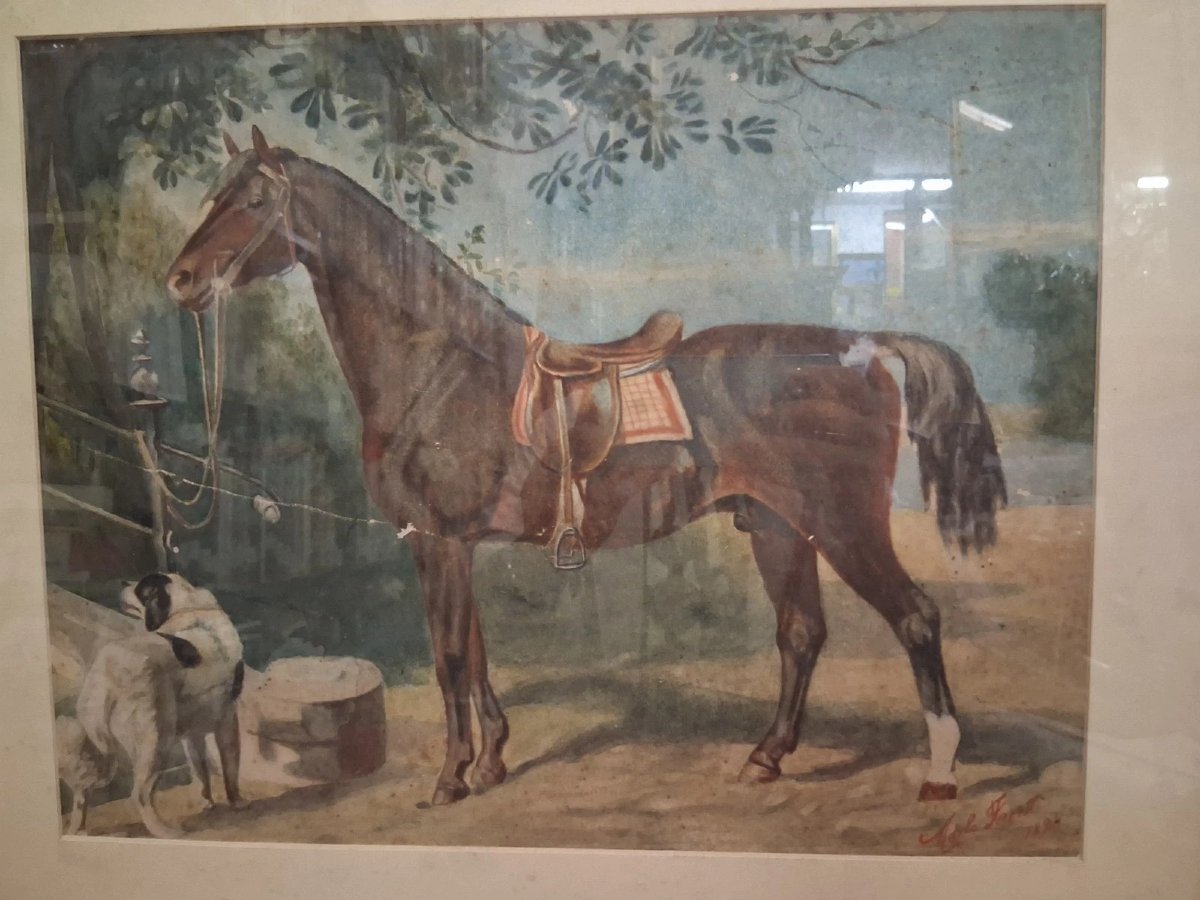 Watercolor On Paper: Horse With Dog - Adele Ferretti, 1894-photo-2