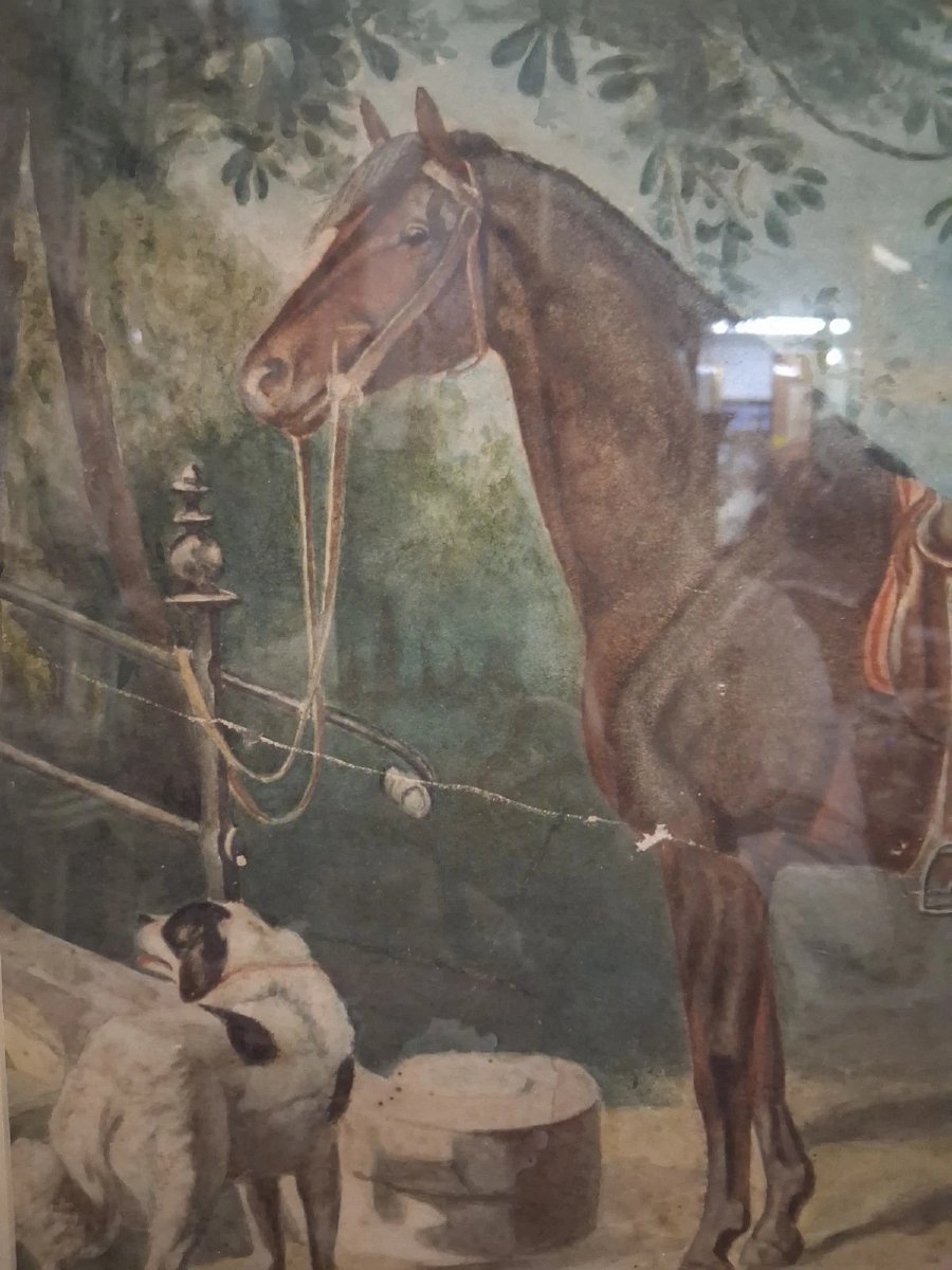Watercolor On Paper: Horse With Dog - Adele Ferretti, 1894-photo-3