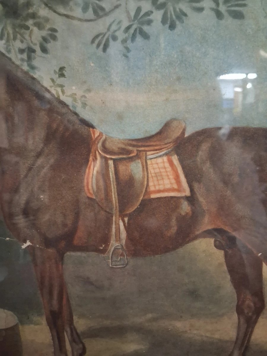 Watercolor On Paper: Horse With Dog - Adele Ferretti, 1894-photo-4